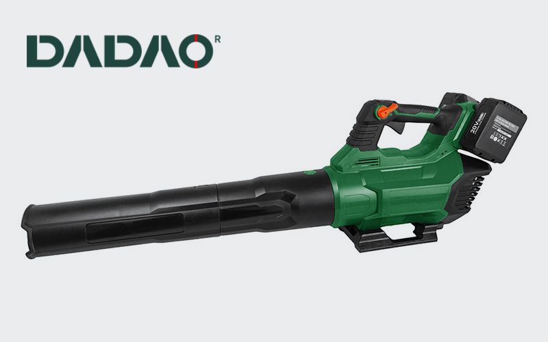 Dadao Toosl explains the application scenario of the Cordless Leaf Blower